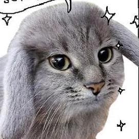 picture of a cute creature
